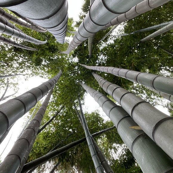 Meet your Posher, Peter - Picture 6 of 12